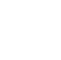 Elite Dealer